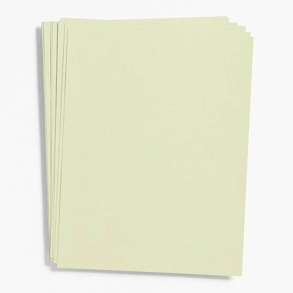 Waste Not Paper Sage Green Cardstock 50 Pack 26x20 Cover Paper Source 14325350-B